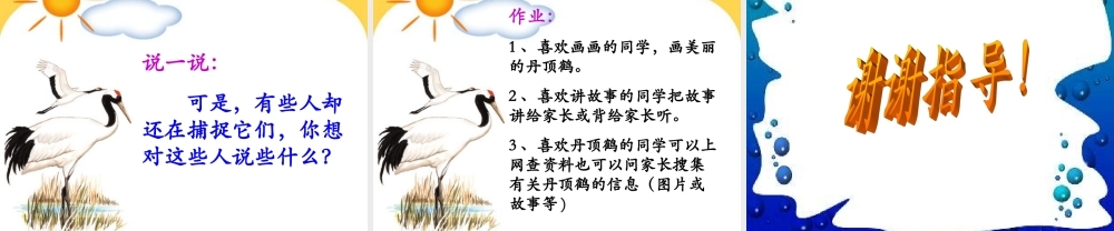 《美丽的丹顶鹤》课件