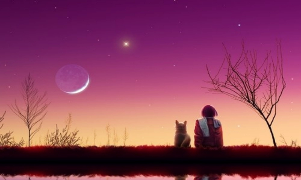 探索月球奥秘-寻找《月亮上足迹》