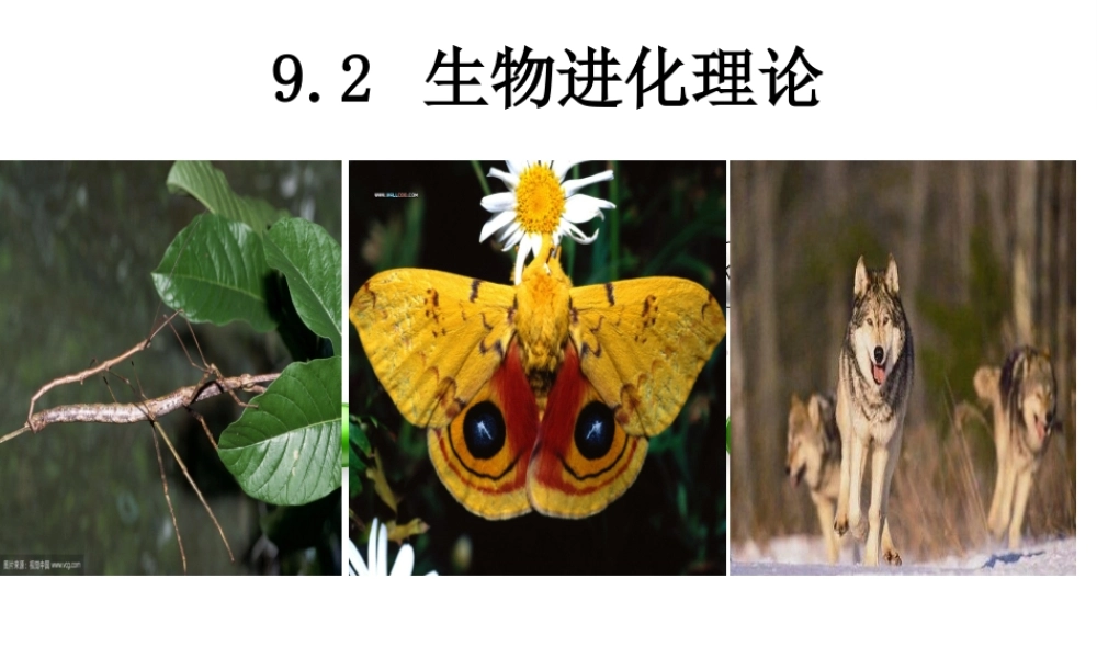 达尔文与自然选择学说