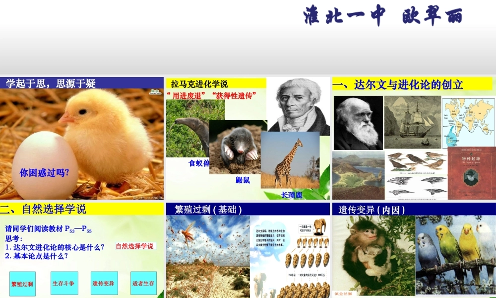 达尔文与自然选择学说