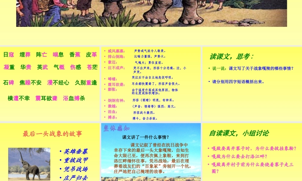 23最后一头战象-课件