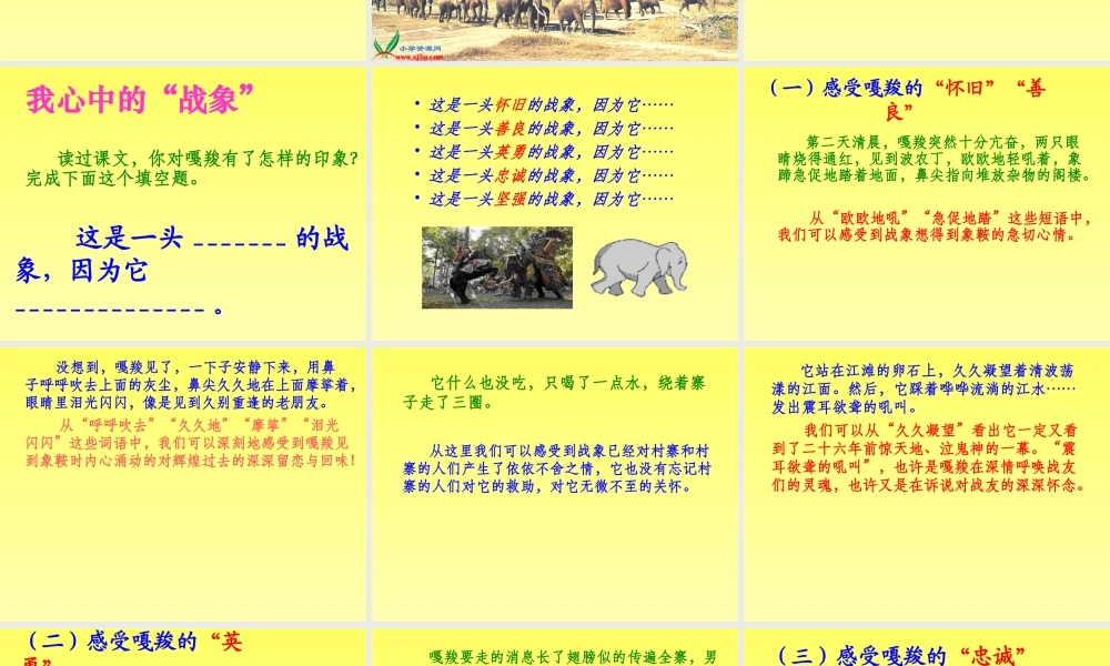23最后一头战象-课件
