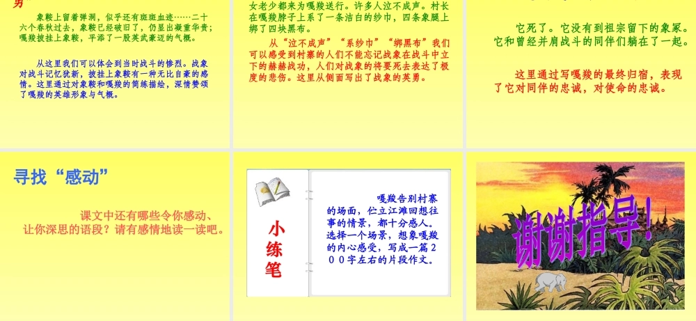 23最后一头战象-课件