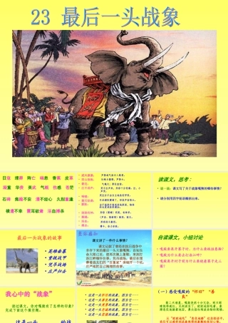 23最后一头战象-课件