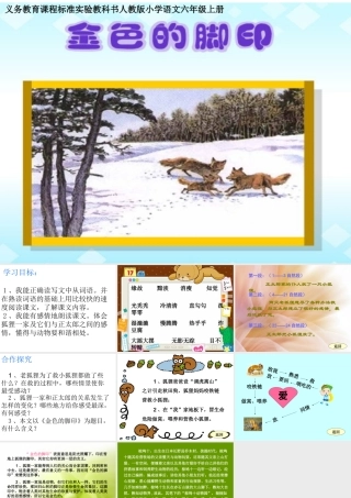 1910金色的脚印