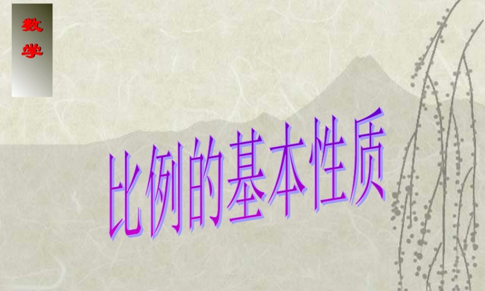 《比例的基本性质》1