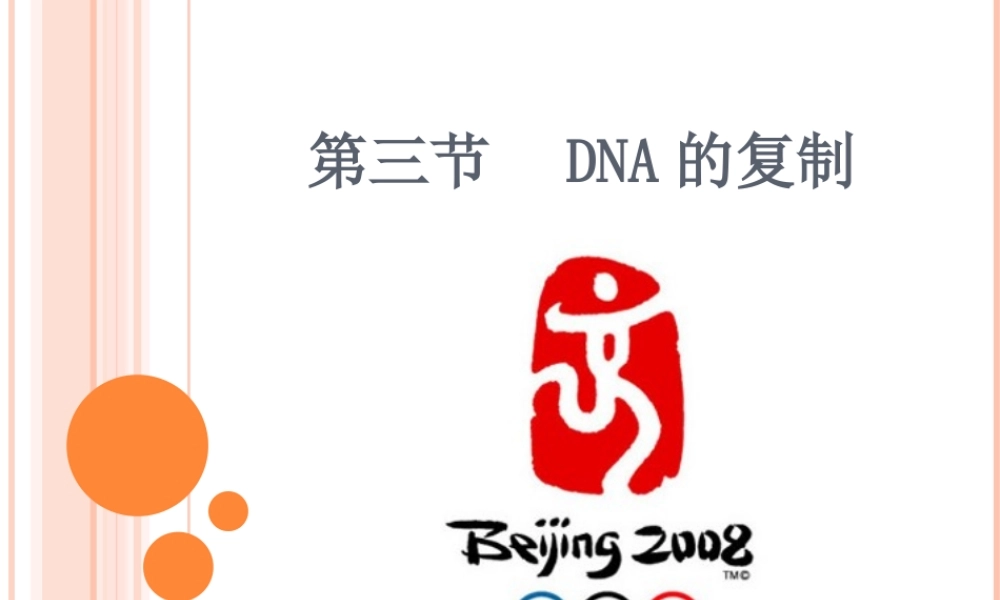 第三节DNA的复制