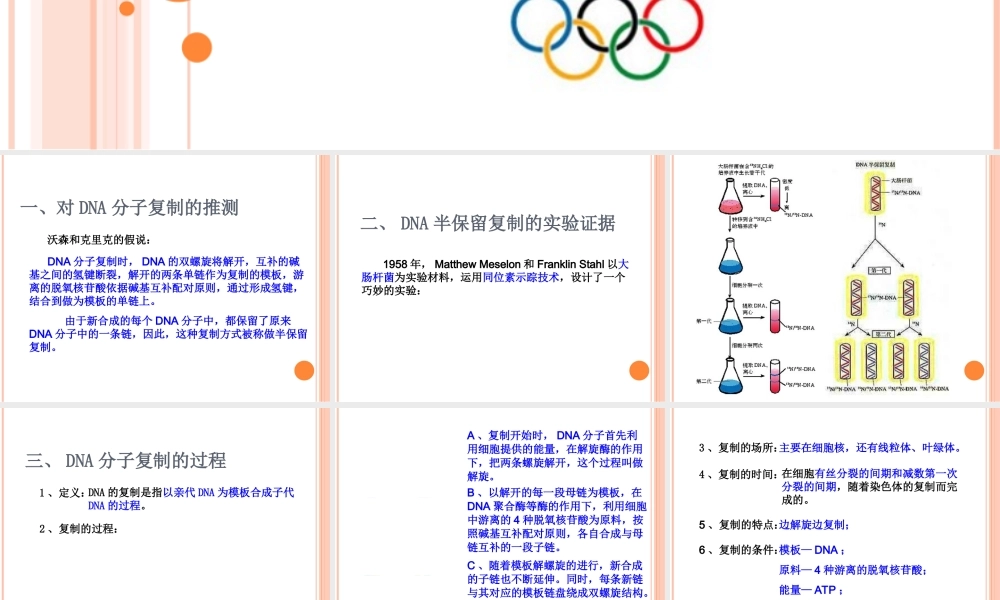 第三节DNA的复制