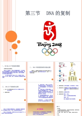 第三节DNA的复制