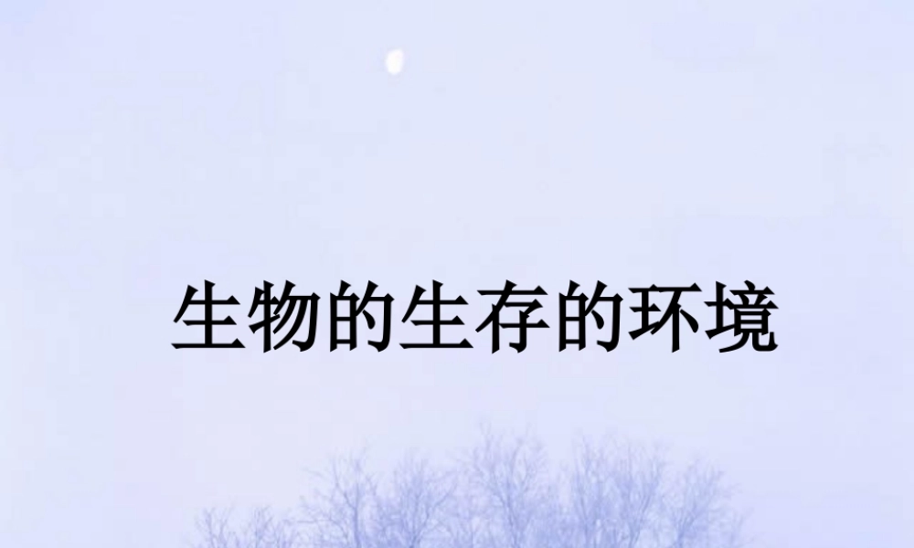 《生物的生存环境》课件2