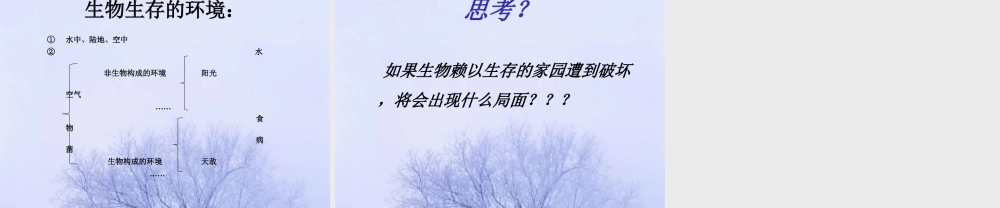 《生物的生存环境》课件2