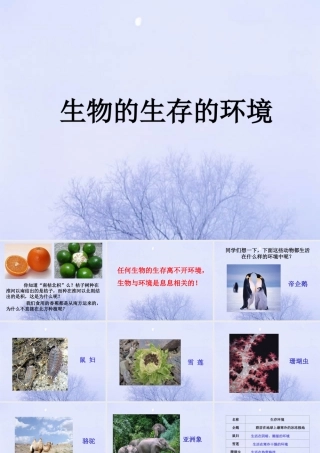 《生物的生存环境》课件2