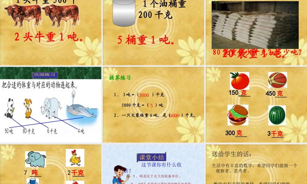 人教2011版小学数学三年级吨的认识.ppt