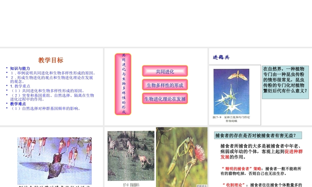 三-共同进化与生物多样性的形成-(2)