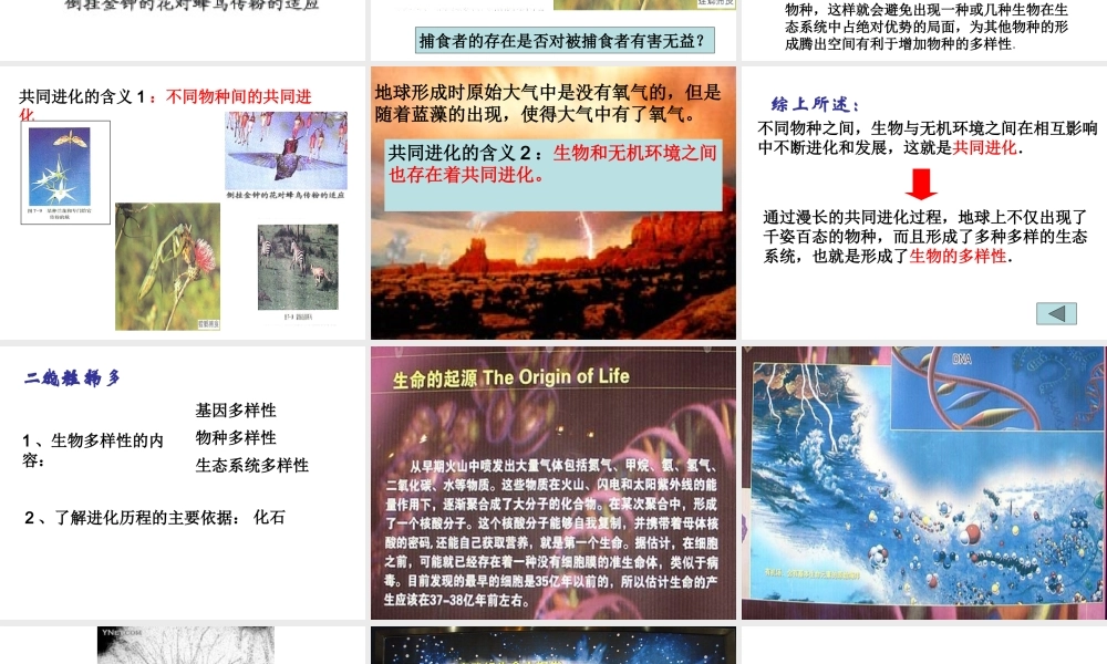 三-共同进化与生物多样性的形成-(2)