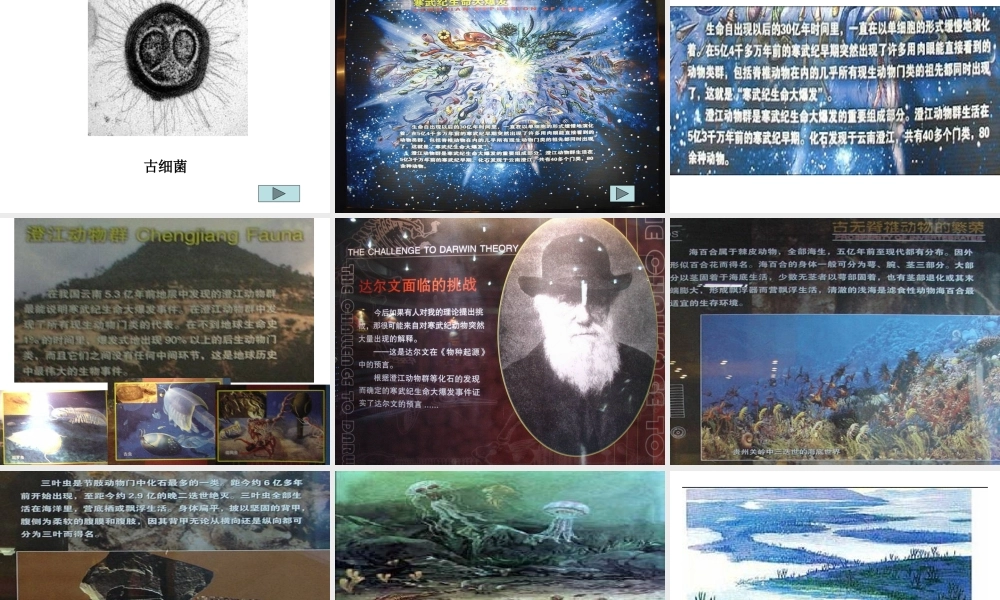 三-共同进化与生物多样性的形成-(2)