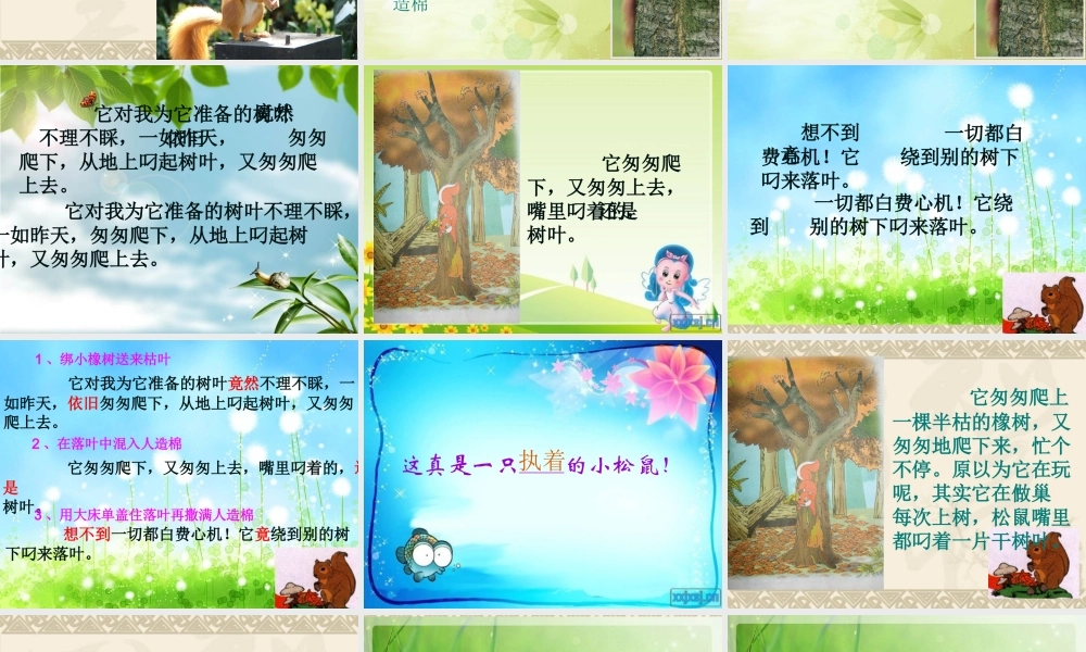 11看松鼠做巢ppt