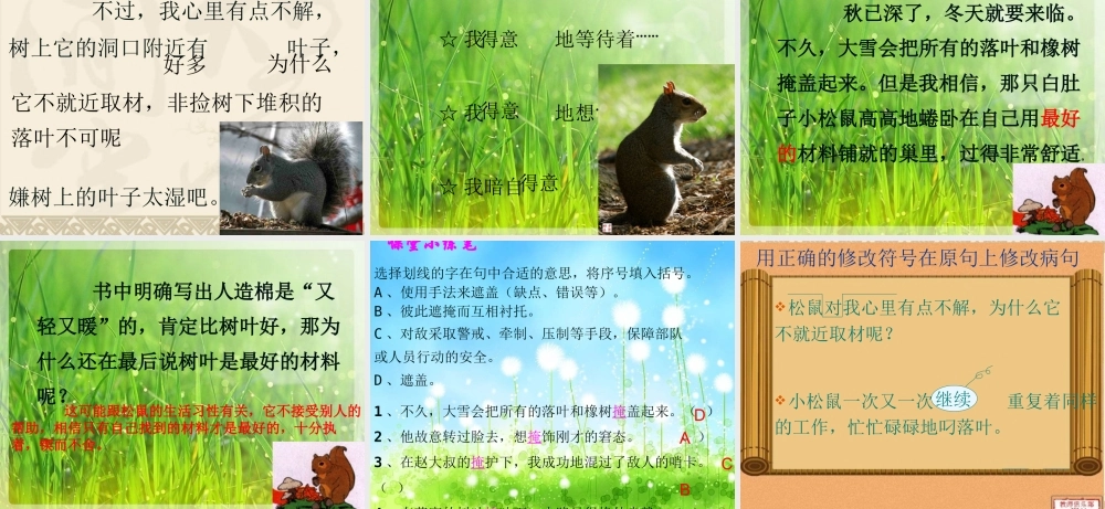 11看松鼠做巢ppt