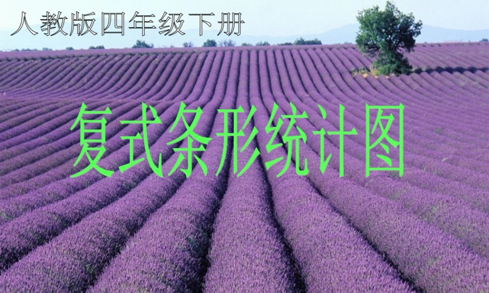 人教版小学数学四年级下册《复式条形统计图》课件