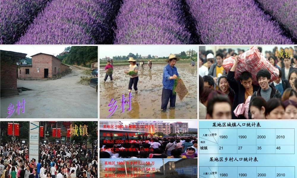 人教版小学数学四年级下册《复式条形统计图》课件