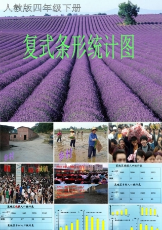 人教版小学数学四年级下册《复式条形统计图》课件