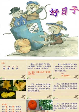 (长春版)二年级语文下册课件-好日子