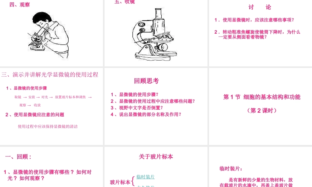 生物：第3章第1节细胞的基本结构和功能1课件(北师大版七年级上)