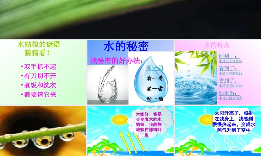 《变来变去的水》课件3