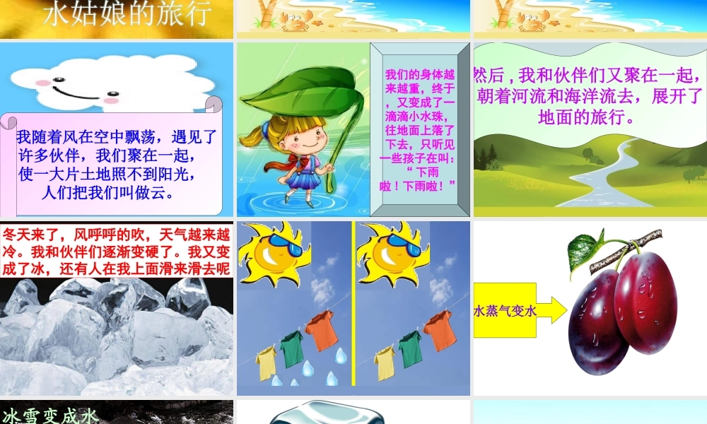 《变来变去的水》课件3