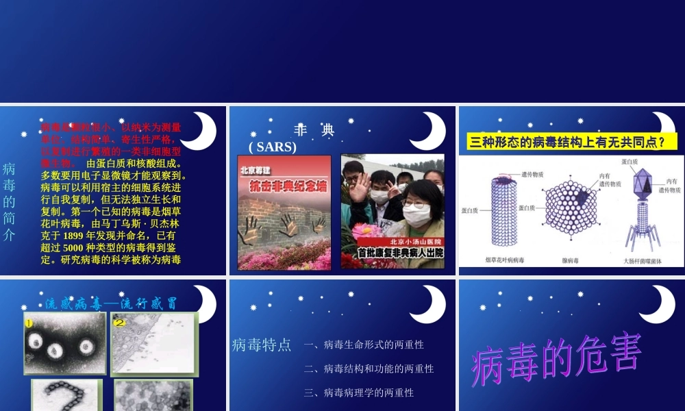 《病毒》课件3
