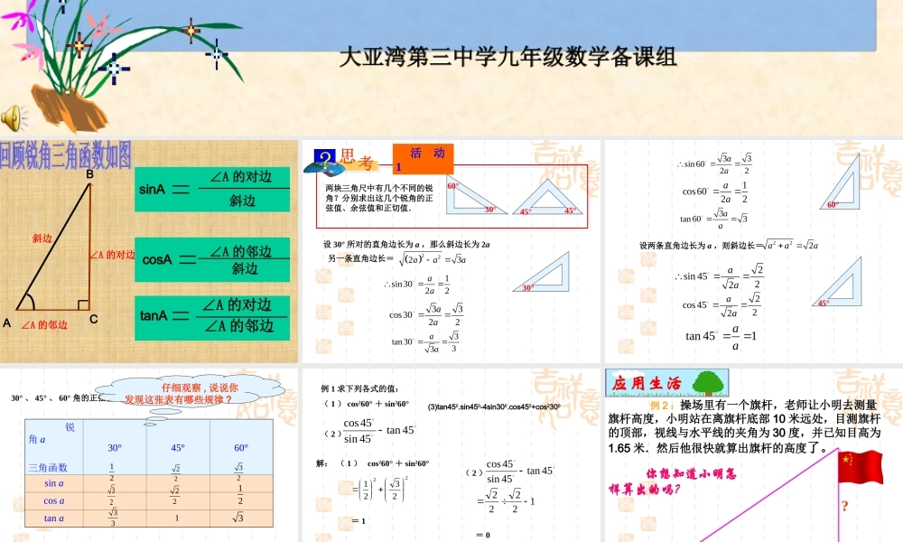 3.《锐角三角函数3》课件