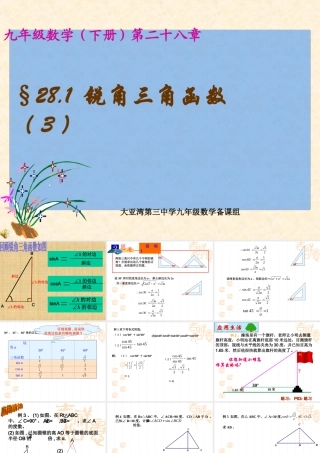 3.《锐角三角函数3》课件