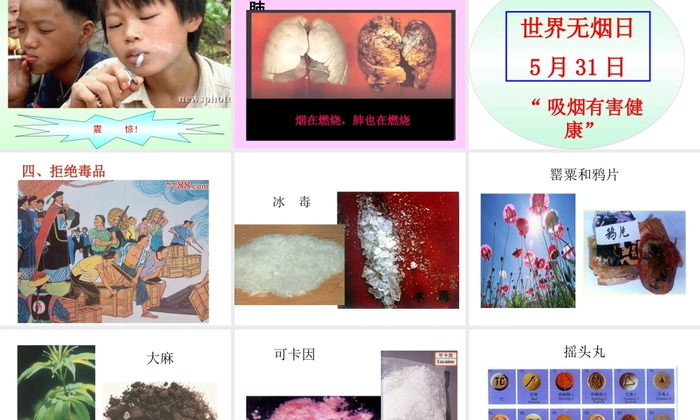 第三节远离有毒物质