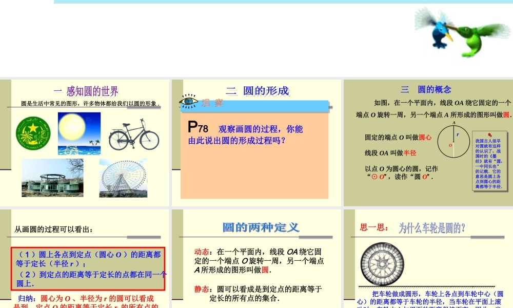 24.1-圆的有关性质-第一课时-圆的有关概念.1.1圆