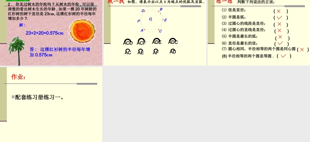 24.1-圆的有关性质-第一课时-圆的有关概念.1.1圆