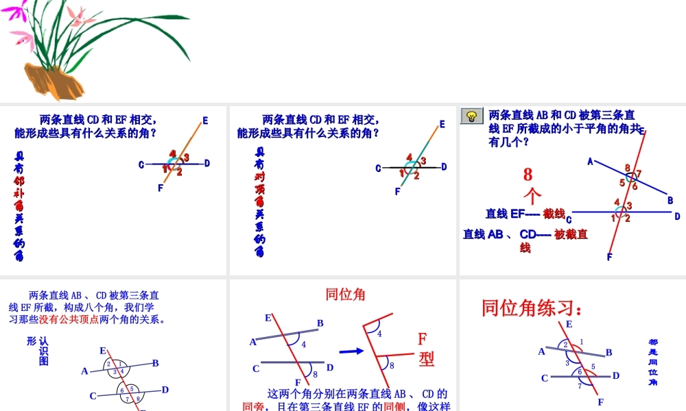 同位角-内错角--同旁内角