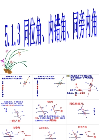 同位角-内错角--同旁内角