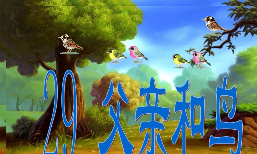 《父亲和鸟》课件4(1)