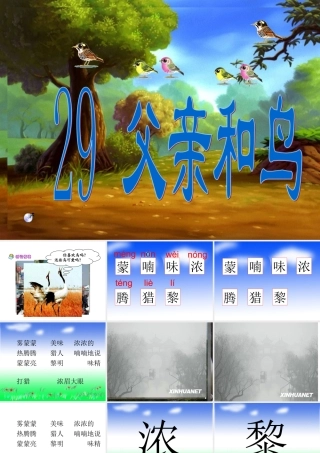 《父亲和鸟》课件4(1)