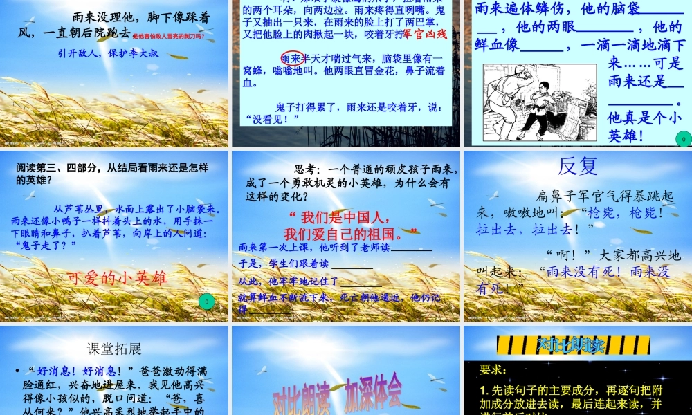 14《小英雄雨来》PPT课件