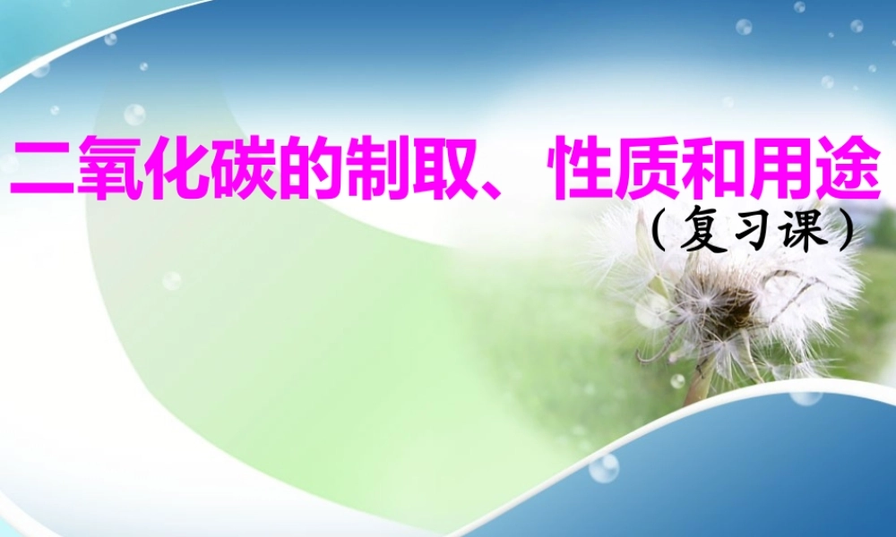 二氧化碳的性质复习课课件