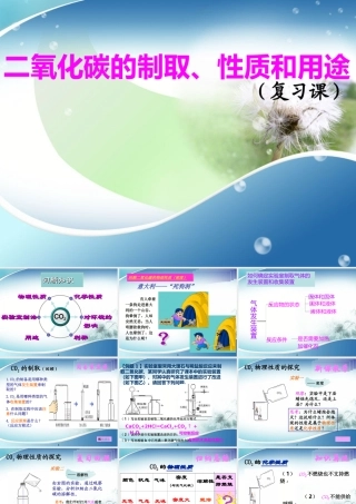 二氧化碳的性质复习课课件