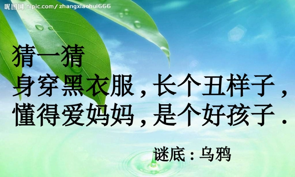 一年级语文下册-《乌鸦喝水》PPT课件-(6)