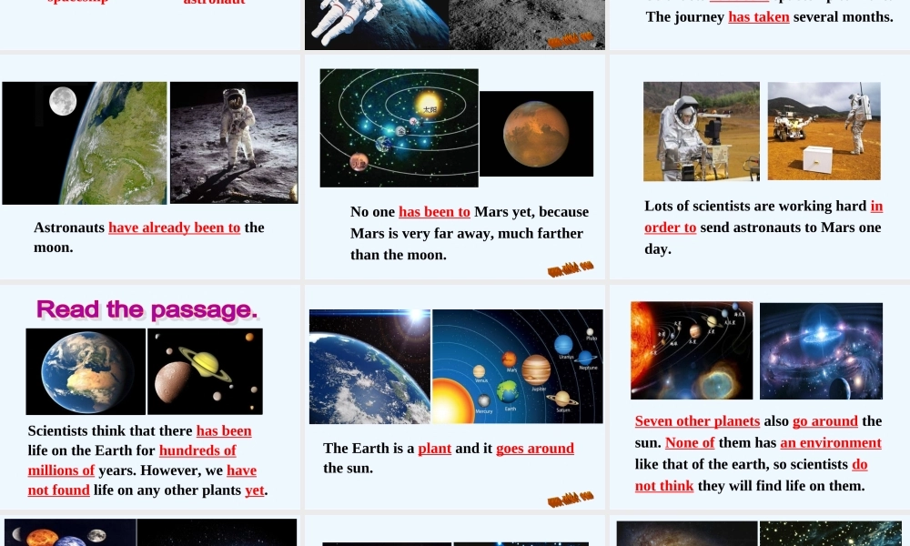 八下Module-2--Unit-2-They-have-seen-the-Pyramids