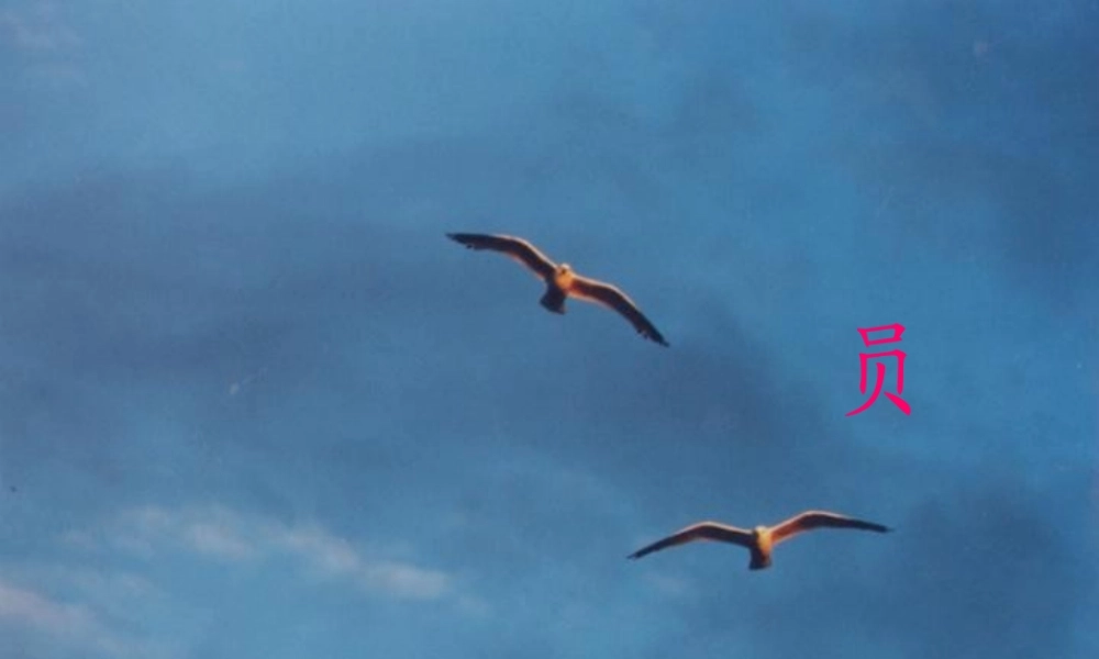 小学语文二年级课件-海上气象员-沪教版