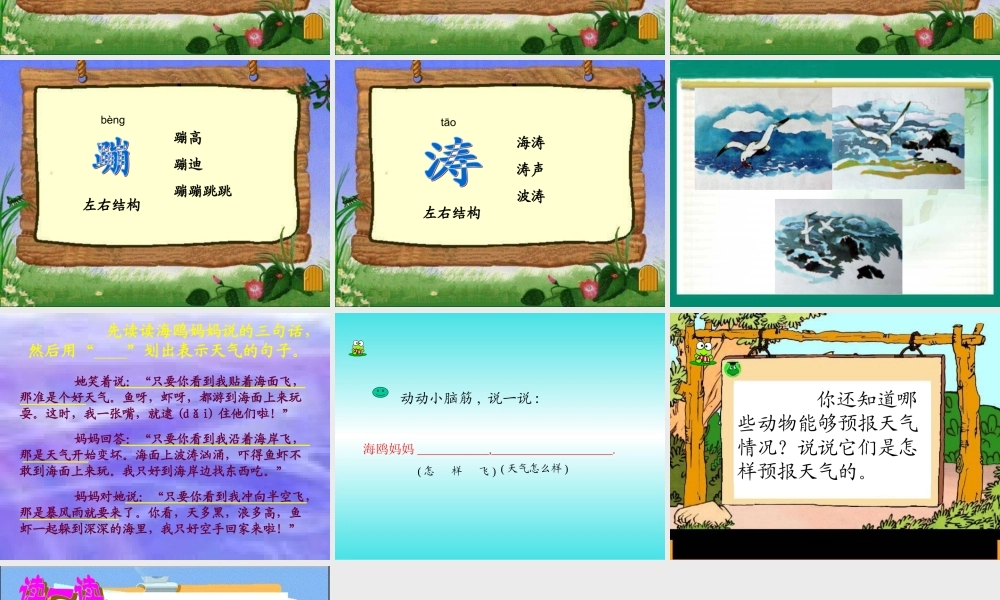 小学语文二年级课件-海上气象员-沪教版