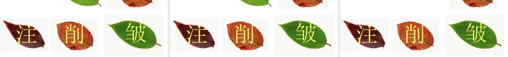 19《蓝色的树叶》ppt课件