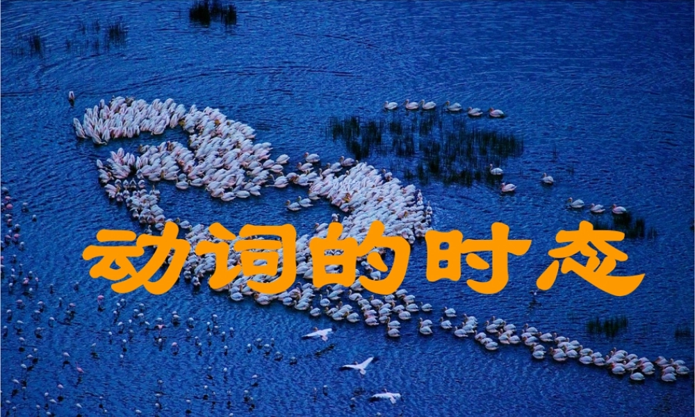 函数的表示方法(中等职业教育课程改革国家规划新教材)