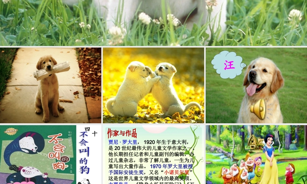 《不会叫的狗》公开课课件---副本