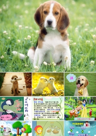 《不会叫的狗》公开课课件---副本